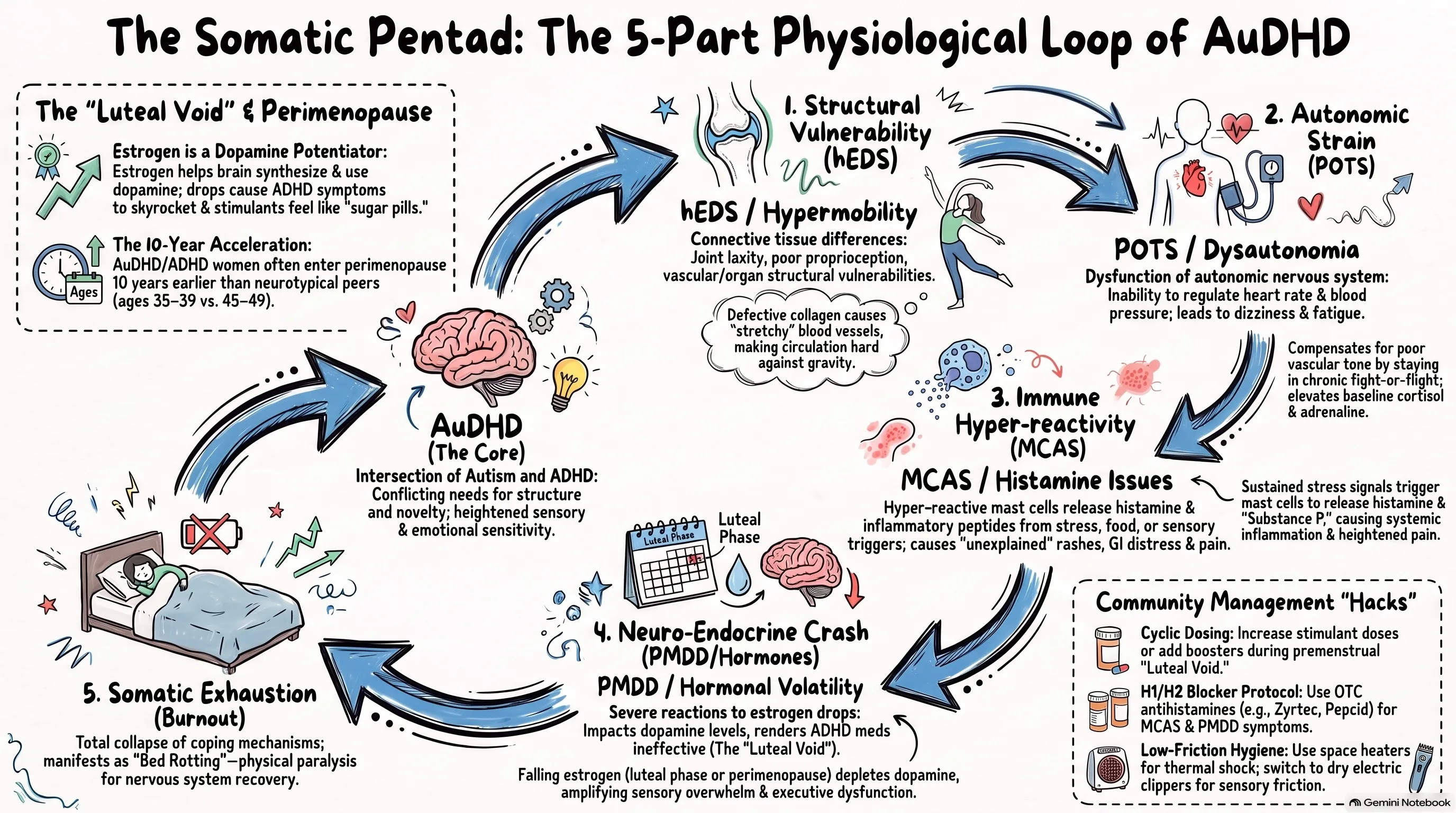 The Somatic Pentad: Why Your AuDHD Body Aches Without Exercise